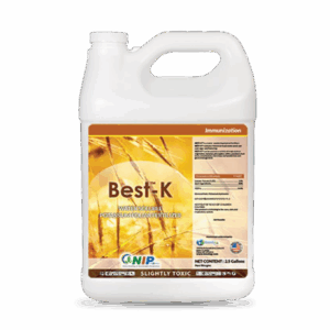 Best-K
