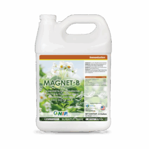 Magnet-B