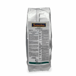 SAETA